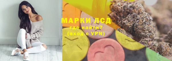 PSILOCYBIN Бугульма