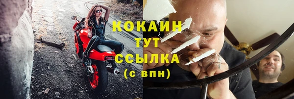 Альфа ПВП Бородино