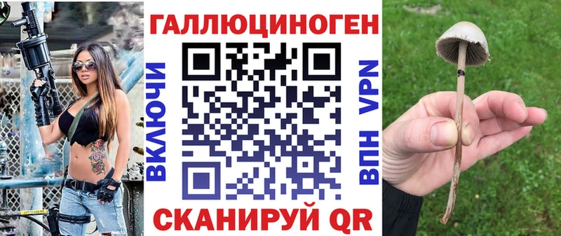 Галлюциногенные грибы MAGIC MUSHROOMS  Купить где  Белоусово 